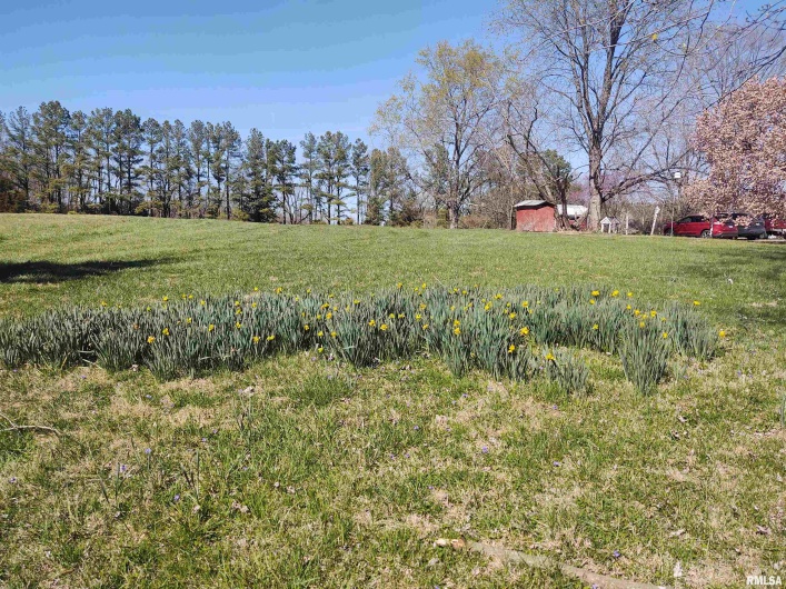 13675 Highway 45 Highway, Ozark, Illinois 62972, 4 Bedrooms Bedrooms, 0 ,1 BathroomBathrooms,Residential,For Sale,Highway 45,0,RMAEB457369