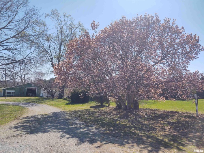 13675 Highway 45 Highway, Ozark, Illinois 62972, 4 Bedrooms Bedrooms, 0 ,1 BathroomBathrooms,Residential,For Sale,Highway 45,0,RMAEB457369