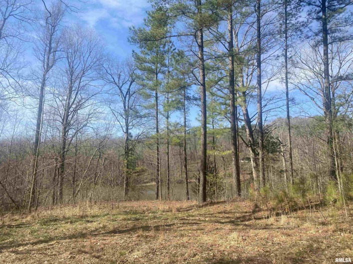 15 OAKWOOD Lane, Murphysboro, Illinois 62966, 0 , 0 ,0,Land,For Sale,OAKWOOD,0,RMAEB457373