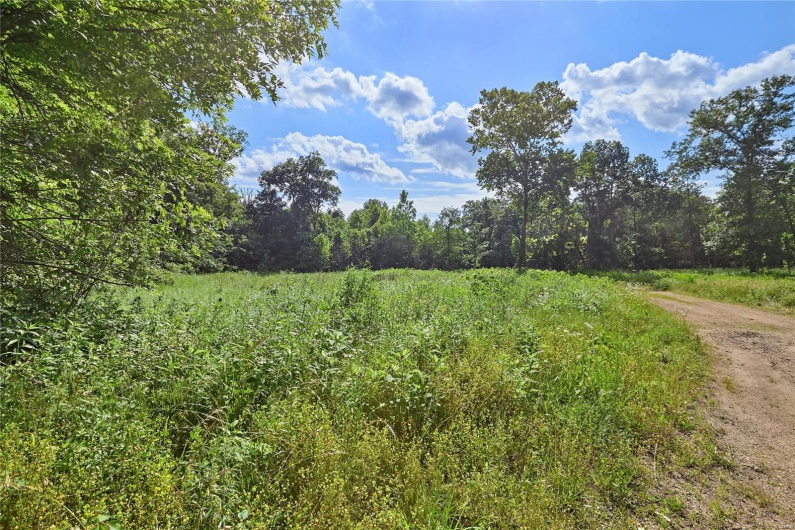 0 County Road 163, Des Arc, Missouri 63636, ,Farm,For Sale,County Road 163,MAR25020500