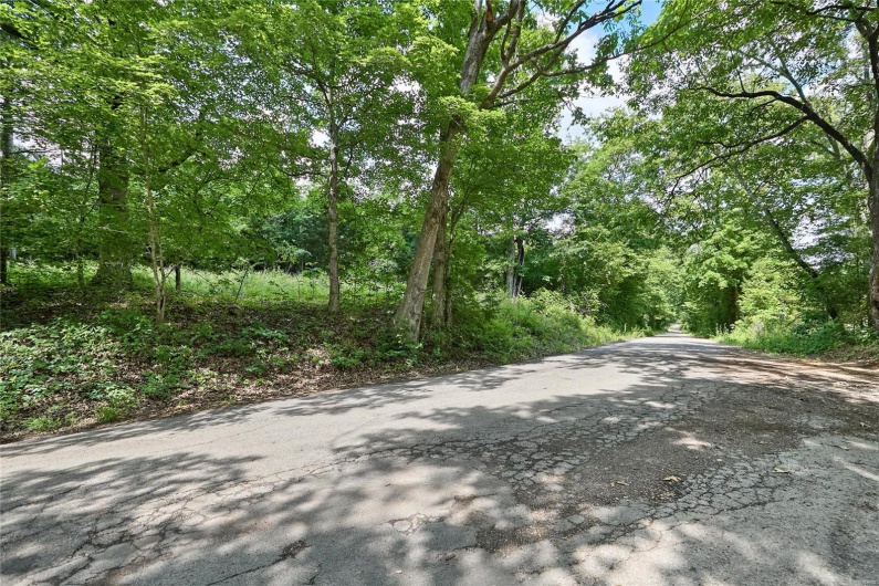 0 County Road 163, Des Arc, Missouri 63636, ,Farm,For Sale,County Road 163,MAR25020500