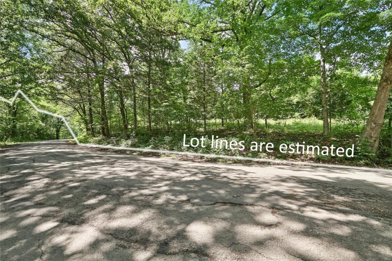 0 County Road 163, Des Arc, Missouri 63636, ,Farm,For Sale,County Road 163,MAR25020500
