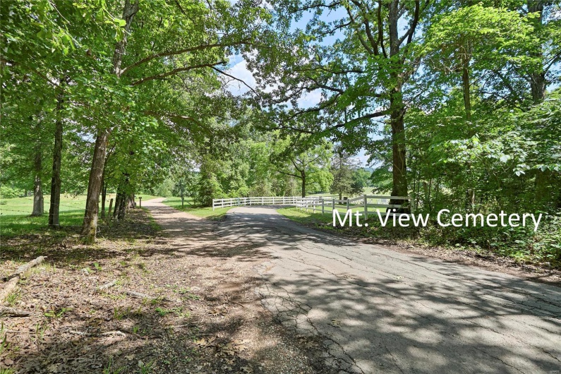 0 County Road 163, Des Arc, Missouri 63636, ,Farm,For Sale,County Road 163,MAR25020500