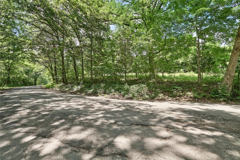 0 County Road 163, Des Arc, Missouri 63636, ,Farm,For Sale,County Road 163,MAR25020500