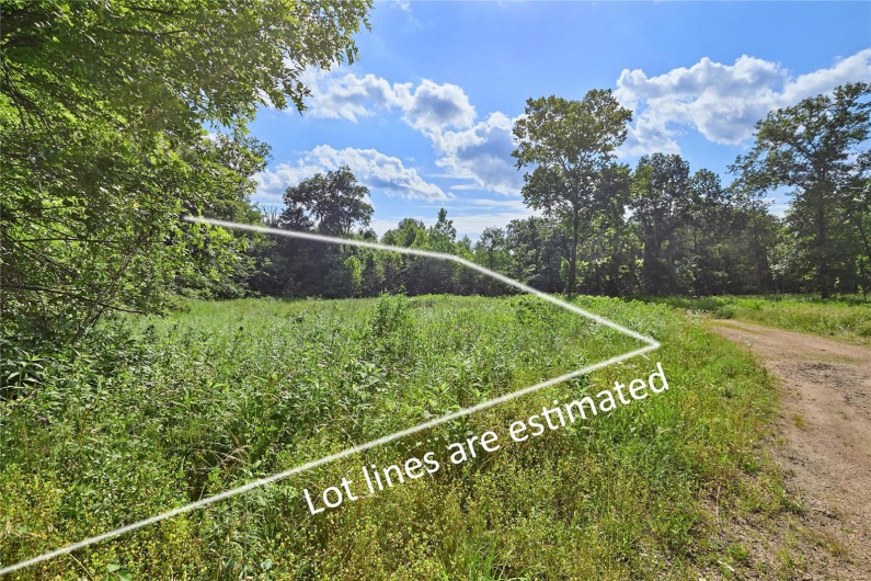 0 County Road 163, Des Arc, Missouri 63636, ,Farm,For Sale,County Road 163,MAR25020500