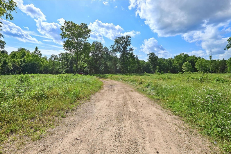 0 County Road 163, Des Arc, Missouri 63636, ,Farm,For Sale,County Road 163,MAR25020500