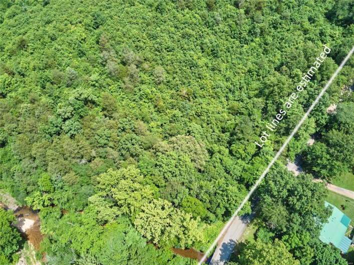 0 County Road 163, Des Arc, Missouri 63636, ,Farm,For Sale,County Road 163,MAR25020500
