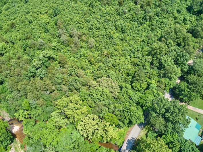 0 County Road 163, Des Arc, Missouri 63636, ,Farm,For Sale,County Road 163,MAR25020500