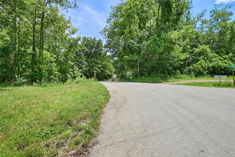 0 County Road 163, Des Arc, Missouri 63636, ,Farm,For Sale,County Road 163,MAR25020500