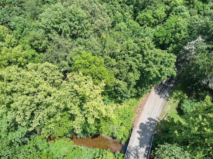 0 County Road 163, Des Arc, Missouri 63636, ,Farm,For Sale,County Road 163,MAR25020500