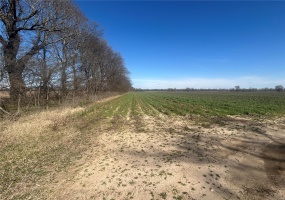 0 Hwy Y Rear L, Hornersville, Missouri 63855, ,Farm,For Sale,Hwy Y Rear L,MAR25020684