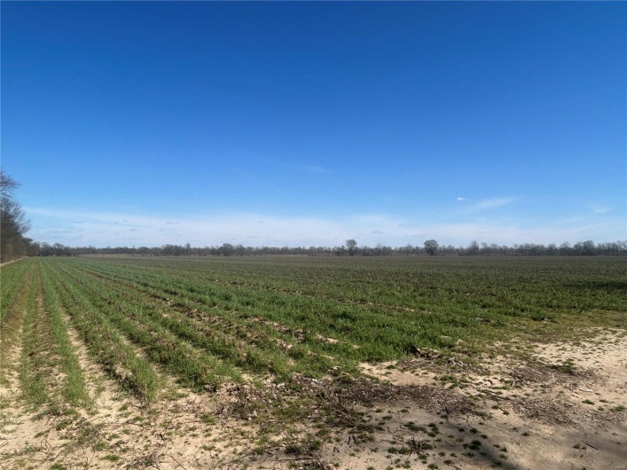 0 Hwy Y Rear L, Hornersville, Missouri 63855, ,Farm,For Sale,Hwy Y Rear L,MAR25020684