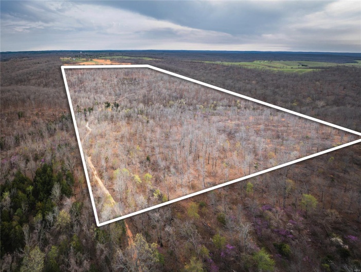 0 Ray Hicks Road, Viburnum, Missouri 65566, ,Farm,For Sale,Ray Hicks,MAR25020733