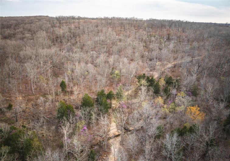 0 Ray Hicks Road, Viburnum, Missouri 65566, ,Farm,For Sale,Ray Hicks,MAR25020733