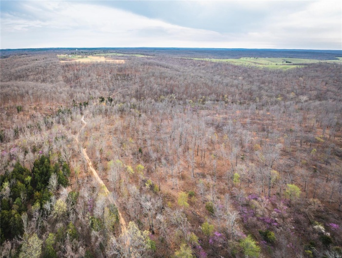 0 Ray Hicks Road, Viburnum, Missouri 65566, ,Farm,For Sale,Ray Hicks,MAR25020733