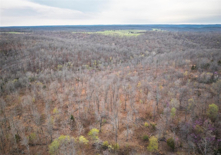 0 Ray Hicks Road, Viburnum, Missouri 65566, ,Farm,For Sale,Ray Hicks,MAR25020733
