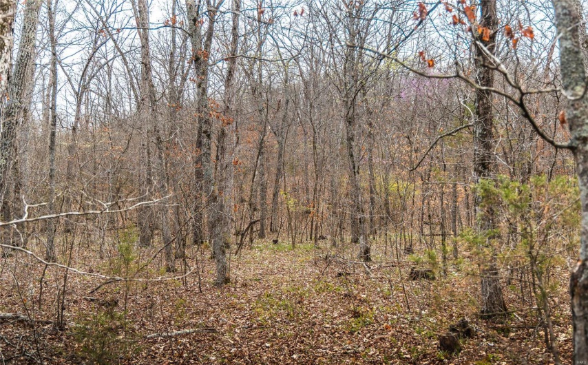 0 Ray Hicks Road, Viburnum, Missouri 65566, ,Farm,For Sale,Ray Hicks,MAR25020733