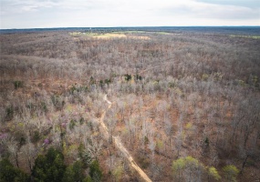 0 Ray Hicks Road, Viburnum, Missouri 65566, ,Farm,For Sale,Ray Hicks,MAR25020733