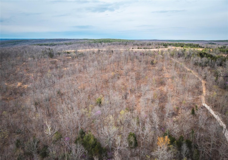 0 Ray Hicks Road, Viburnum, Missouri 65566, ,Farm,For Sale,Ray Hicks,MAR25020733