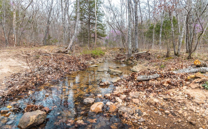 0 Ray Hicks Road, Viburnum, Missouri 65566, ,Farm,For Sale,Ray Hicks,MAR25020733