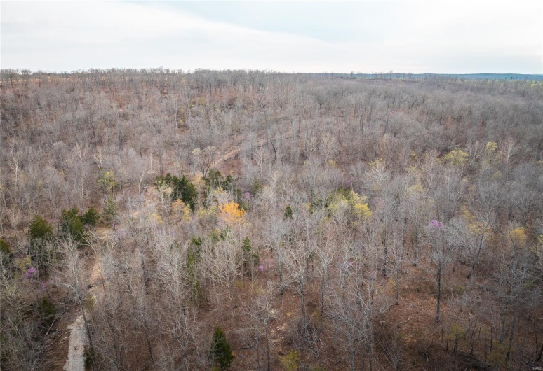 0 Ray Hicks Road, Viburnum, Missouri 65566, ,Farm,For Sale,Ray Hicks,MAR25020733