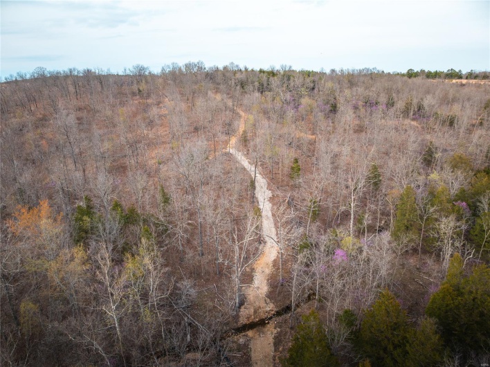 0 Ray Hicks Road, Viburnum, Missouri 65566, ,Farm,For Sale,Ray Hicks,MAR25020733