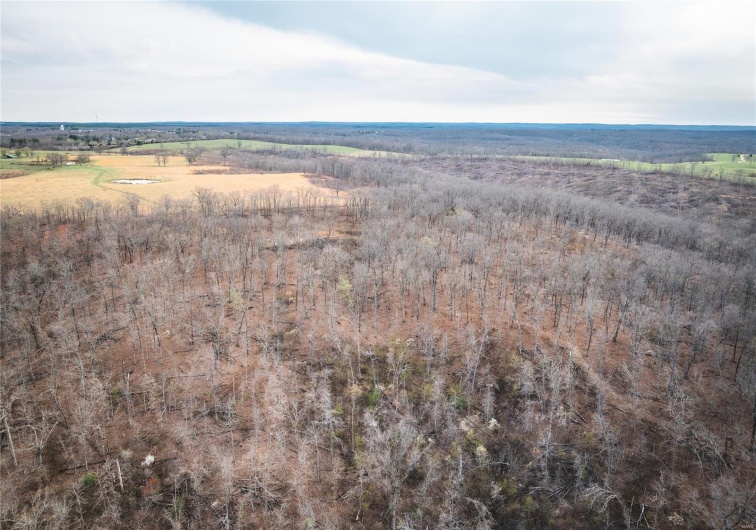 0 Ray Hicks Road, Viburnum, Missouri 65566, ,Farm,For Sale,Ray Hicks,MAR25020733