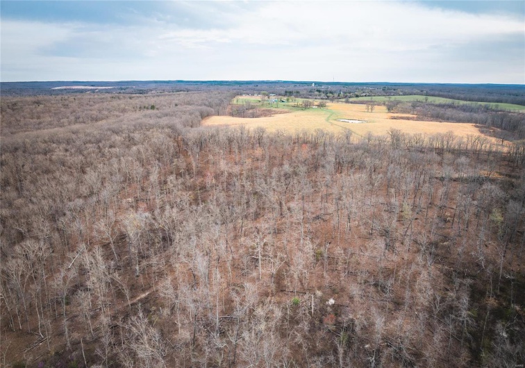 0 Ray Hicks Road, Viburnum, Missouri 65566, ,Farm,For Sale,Ray Hicks,MAR25020733
