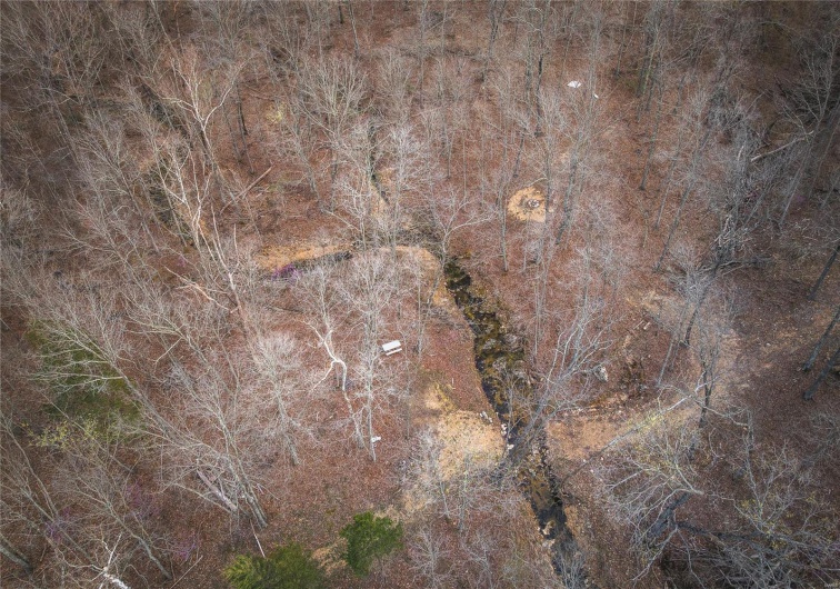 0 Ray Hicks Road, Viburnum, Missouri 65566, ,Farm,For Sale,Ray Hicks,MAR25020733