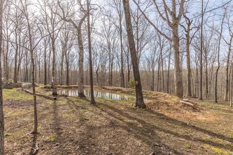 345 Johns Branch Road, Wappapello, Missouri 63966, 3 Bedrooms Bedrooms, 8 Rooms Rooms,2 BathroomsBathrooms,Residential,For Sale,Johns Branch,MAR25020663
