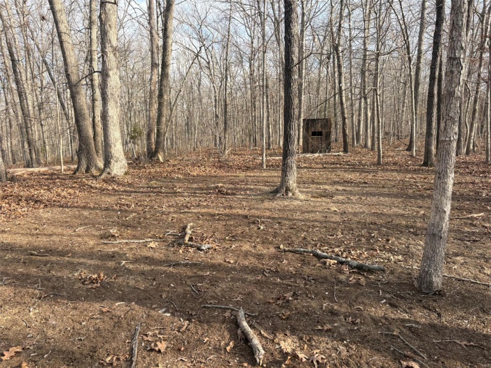 702 BCR, Glen Allen, Missouri 63751, ,Farm,For Sale,BCR,MAR25020884