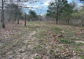 702 BCR, Glen Allen, Missouri 63751, ,Farm,For Sale,BCR,MAR25020884