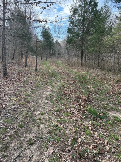 702 BCR, Glen Allen, Missouri 63751, ,Farm,For Sale,BCR,MAR25020884