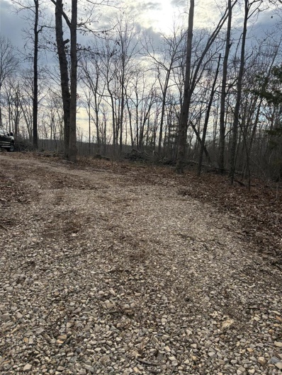 702 BCR, Glen Allen, Missouri 63751, ,Farm,For Sale,BCR,MAR25020884