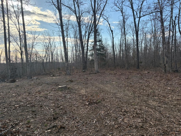 702 BCR, Glen Allen, Missouri 63751, ,Farm,For Sale,BCR,MAR25020884