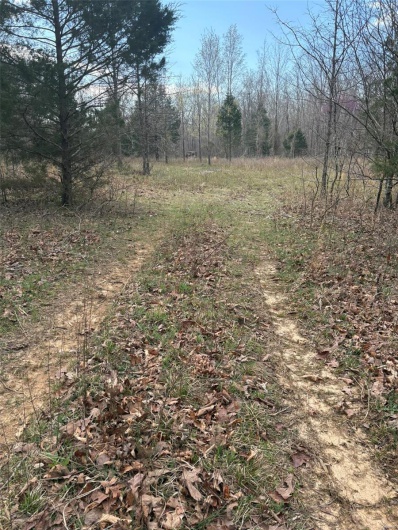 702 BCR, Glen Allen, Missouri 63751, ,Farm,For Sale,BCR,MAR25020884