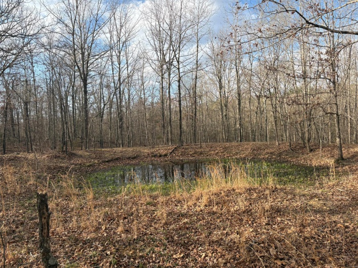702 BCR, Glen Allen, Missouri 63751, ,Farm,For Sale,BCR,MAR25020884