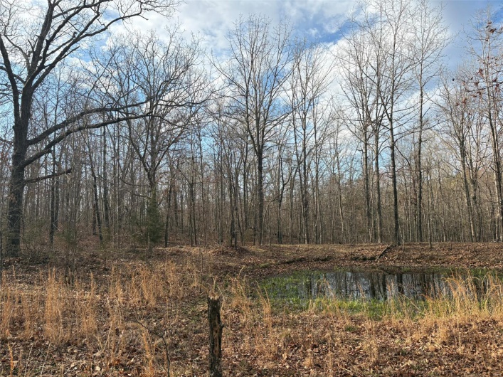 702 BCR, Glen Allen, Missouri 63751, ,Farm,For Sale,BCR,MAR25020884