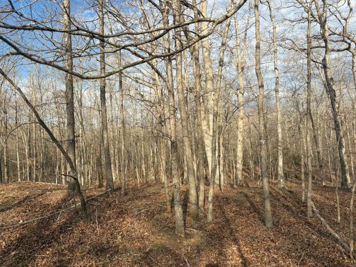 702 BCR, Glen Allen, Missouri 63751, ,Farm,For Sale,BCR,MAR25020884