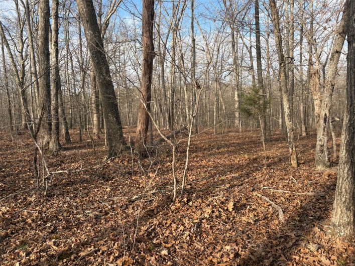 702 BCR, Glen Allen, Missouri 63751, ,Farm,For Sale,BCR,MAR25020884