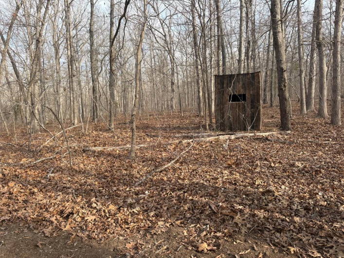702 BCR, Glen Allen, Missouri 63751, ,Farm,For Sale,BCR,MAR25020884