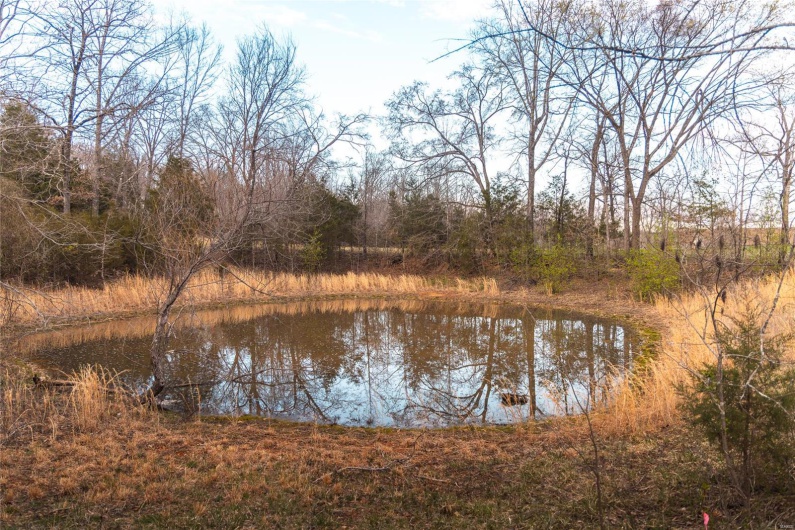 5019 Wayne 380, Patterson, Missouri 63956, ,Commercial Sale,For Sale,Wayne 380,MAR25020921