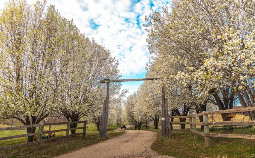 5019 Wayne 380, Patterson, Missouri 63956, ,Commercial Sale,For Sale,Wayne 380,MAR25020921