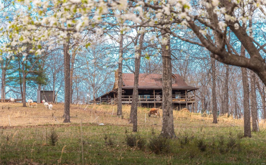 5019 Wayne 380, Patterson, Missouri 63956, ,Commercial Sale,For Sale,Wayne 380,MAR25020921