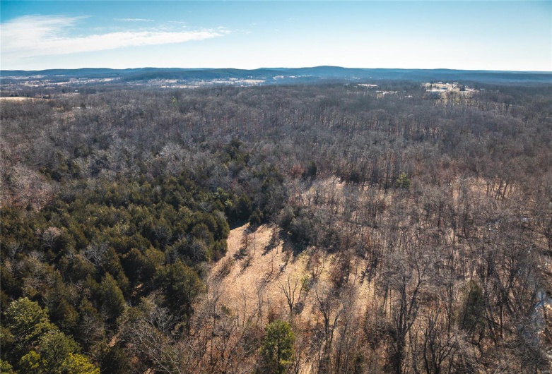 Drone / aerial view with a wooded view and a mountain view