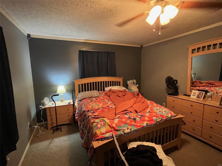 515 Rue LaMande, Bonne Terre, Missouri 63628, 3 Bedrooms Bedrooms, 10 Rooms Rooms,2 BathroomsBathrooms,Residential,For Sale,Rue LaMande,MAR25021045