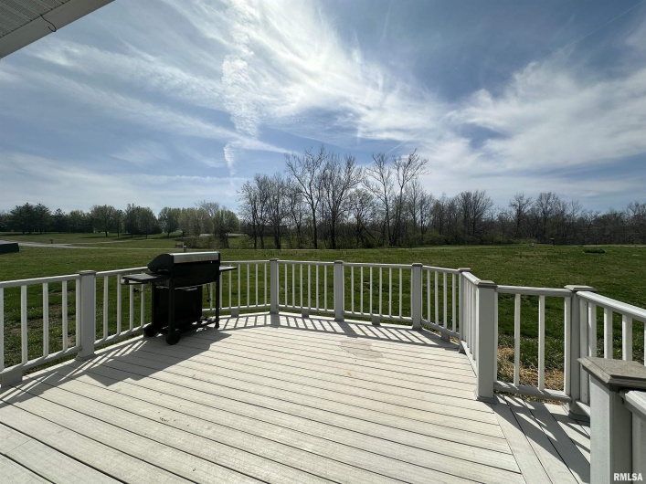 5691 Silver Fox Drive, Carterville, Illinois 62918, 3 Bedrooms Bedrooms, 0 ,2 BathroomsBathrooms,Residential,For Sale,Silver Fox,0,RMAEB457402