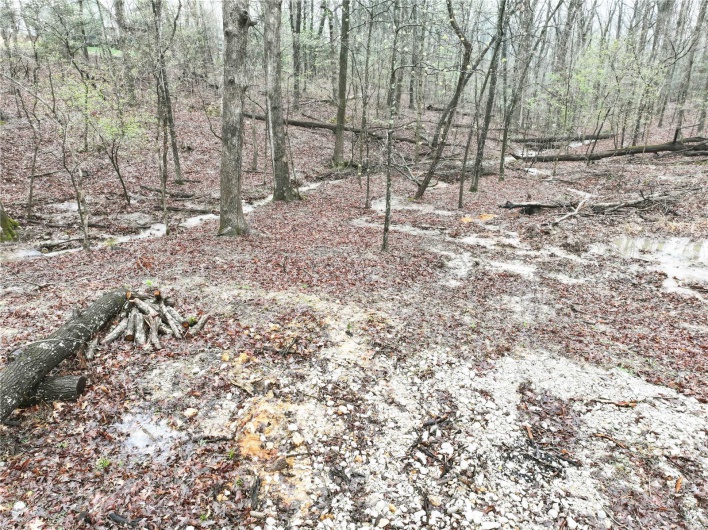 5100 W Loop, Perryville, Missouri 63775, ,Land,For Sale,W Loop,MAR25021162