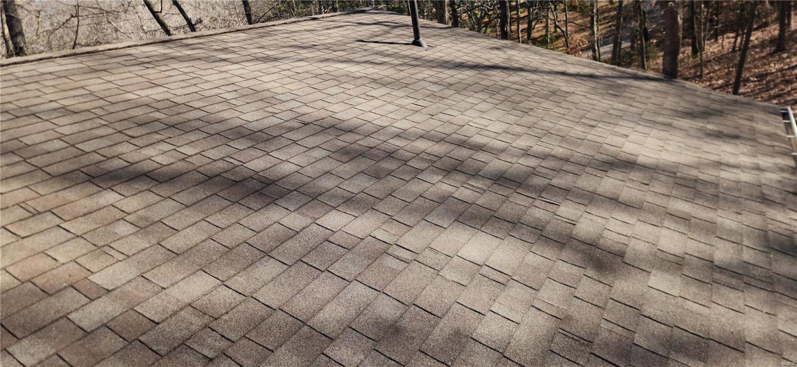 Roof 1 side
