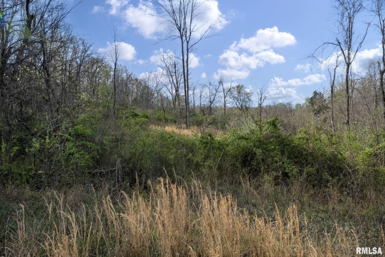 60 HARRIS Lane, Brookport, Illinois 62910, 0 , 0 ,0,Land,For Sale,HARRIS,0,RMAEB457419